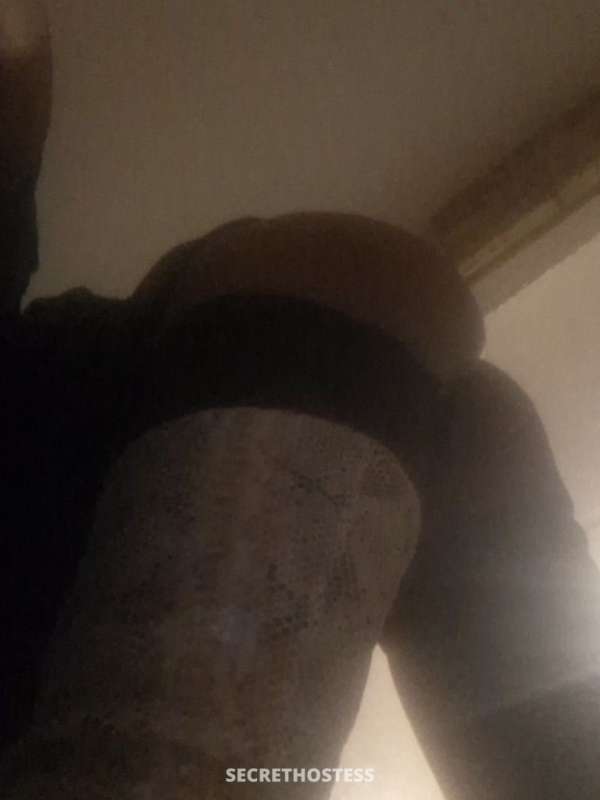 Euphoria 28Yrs Old Escort Jacksonville FL Image - 3