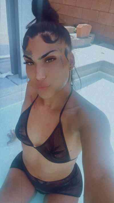 26 year old Hispanic Escort in St. Louis MO IM HERE come see what the hype about
