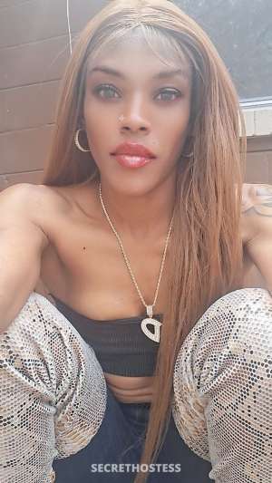 Euphoria 28Yrs Old Escort Jacksonville FL Image - 4