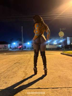 24Yrs Old Escort Orange County CA Image - 2