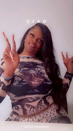 Gripping Coochie Yes I m nda city QV welcome cum see me 34 year old Escort in Mobile AL