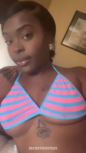 KASHMIEREBARBIE 23Yrs Old Escort El Paso TX Image - 11