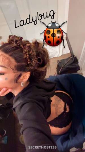 Ladiebug 24Yrs Old Escort Richmond VA Image - 4