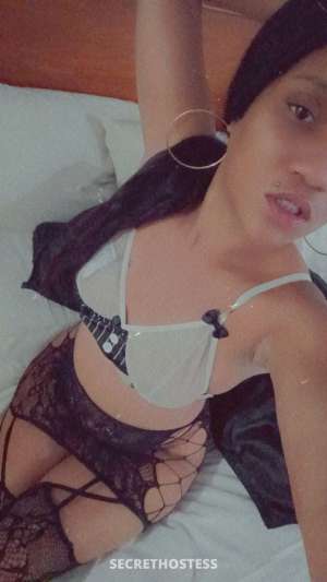 Honeybee 26Yrs Old Escort 160CM Tall Modesto CA Image - 8