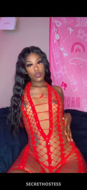 The Best Pussy in Town The Royce Experience THROAT GOAT 28 year old Escort in Statesboro GA