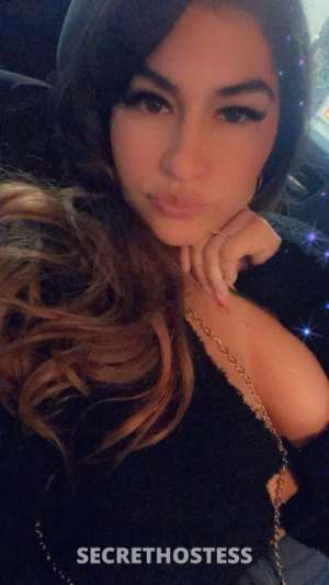 31 year old Middle Eastern Escort in Tampa FL Bubbley fun college girl... Total package