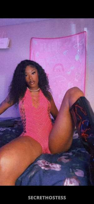 The Best Pussy in Town 💦 The Royce Experience ✨ THROAT 28 year old Escort in Statesboro GA