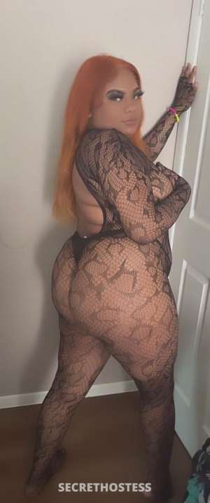 Sapphireee 27Yrs Old Escort Image - 3