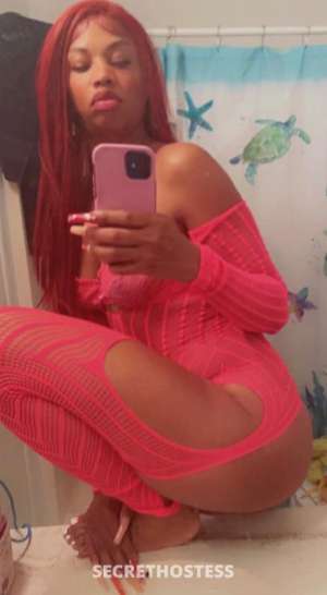 catch me while you can 26 year old Escort in Santa Cruz CA