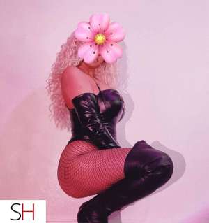 sexy european mixed hottie ,unforgettable XXX 29 year old Escort in Oakville