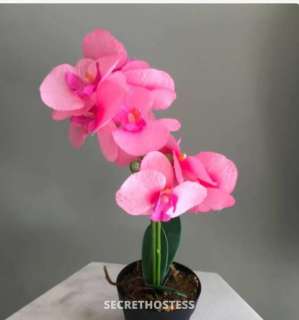 ( Merritt)In/ Out Call Malaysia Special Best Massage Merritt 27 year old Escort in Kamloops