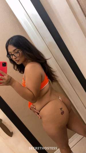 Lilly 26Yrs Old Escort 157CM Tall North Bay CA Image - 3