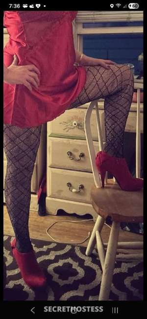 V 44Yrs Old Escort Cincinnati OH Image - 3