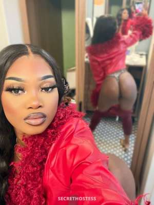20Yrs Old Escort Miami FL Image - 1