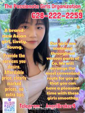 Contact me for a different experience kissing bbj,cim,bbfs 22 year old Escort in Orange County CA