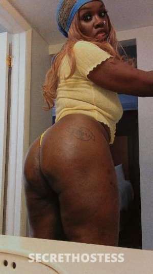 Hey Let Me Suck you Up 35 year old Escort in Colorado Springs CO