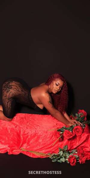 DrewLux 24Yrs Old Escort San Diego CA Image - 1