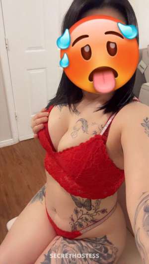 Meganyamigas 25Yrs Old Escort Dallas TX Image - 2