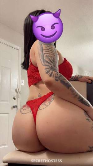 Meganyamigas 25Yrs Old Escort Dallas TX Image - 5