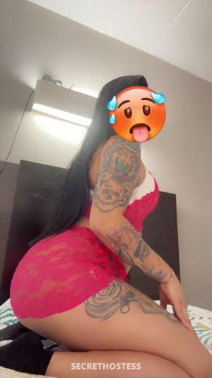 Meganyamigas 25Yrs Old Escort Dallas TX Image - 6