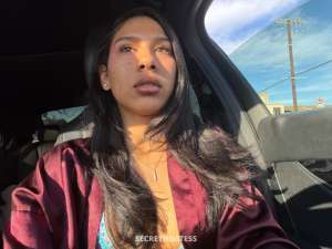 Laylani 22Yrs Old Escort Killeen TX Image - 3