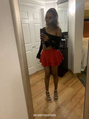 Escort 165CM Tall Austin TX Image - 3