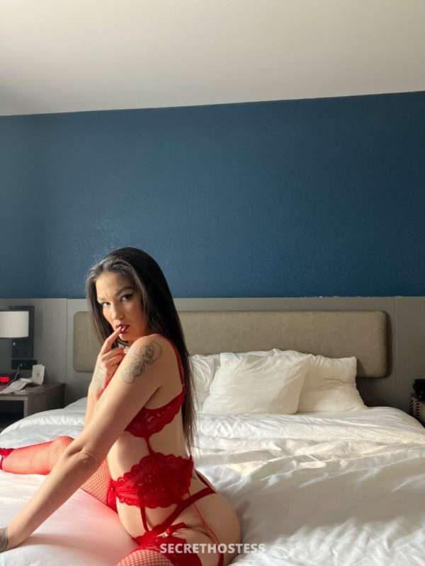 Porcelain 25Yrs Old Escort Image - 7