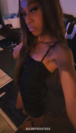 21Yrs Old Escort Los Angeles CA Image - 4