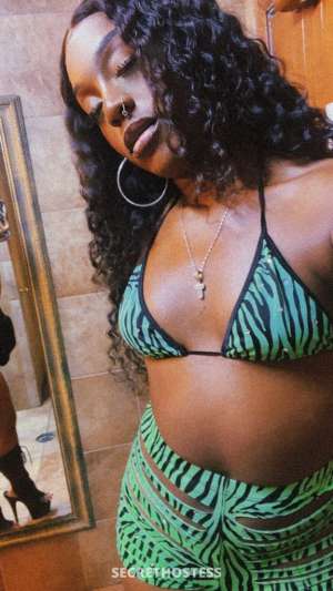 Thursday Fun New in Town Coco Layla Upscale Companions Dance 25 year old Escort in Beaumont TX