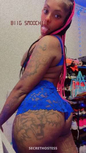 SLIM THICK G ADD ME ON INSTA BIIGSMOOCHIIE OF onlysmoochiie 28 year old Escort in Florence SC