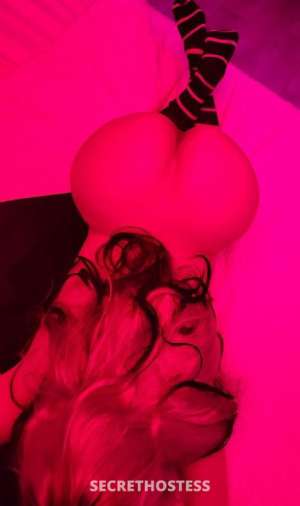 35Yrs Old Escort McAllen TX Image - 2