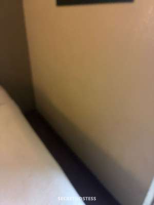 42Yrs Old Escort Panama City FL Image - 1