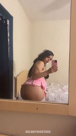 Perla 23Yrs Old Escort Monterey CA Image - 3