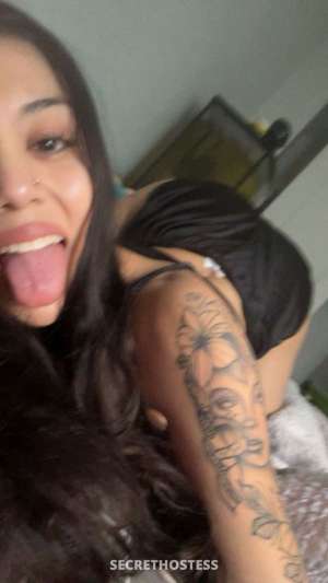 Sofia❤️ 20Yrs Old Escort Killeen TX Image - 3