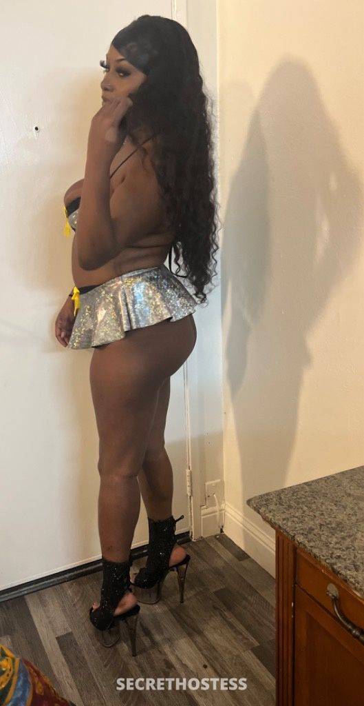 23Yrs Old Escort Concord CA Image - 3