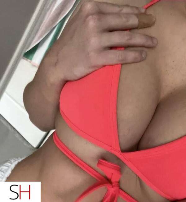 27Yrs Old Escort North York Image - 1