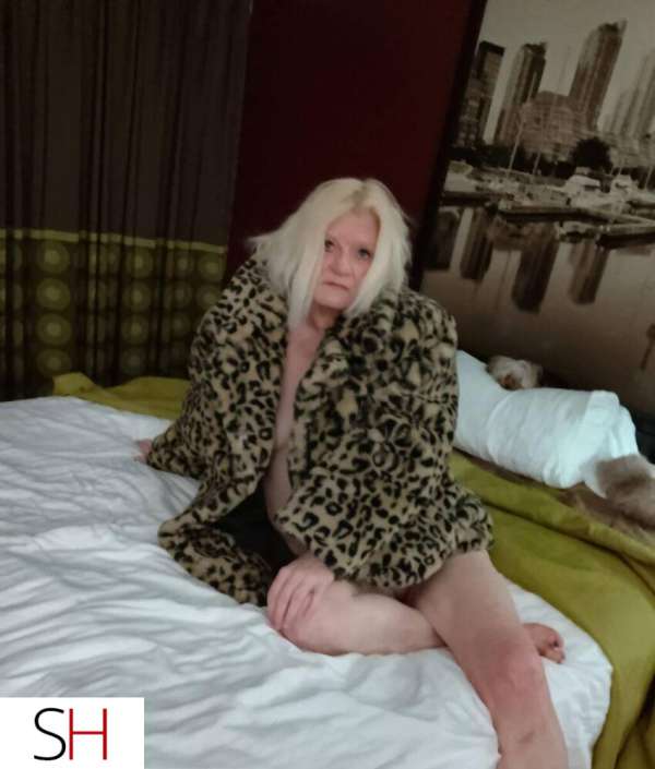 53Yrs Old Escort Brantford Image - 5