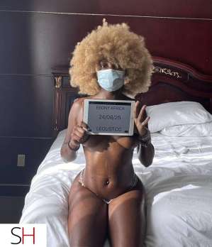 Premium goddess limited availability 21 year old Escort in North York