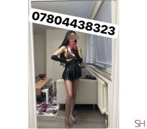 23Yrs Old Escort Edinburgh Image - 2