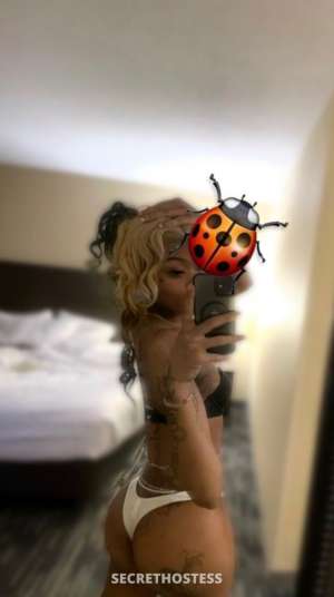 INCALL OUTCALL GOOD kitty Cum Get It VIP Premium experience 25 year old Escort in Casper WY