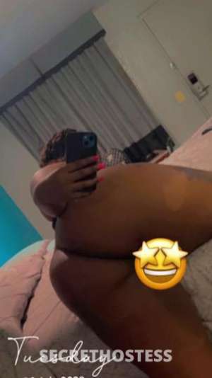 26Yrs Old Escort Pensacola FL Image - 1