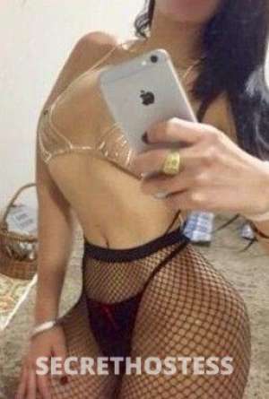Shelly 26 year old Escort in Clementi