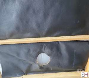 50Yrs Old Escort South East 50 year old Escort in South East