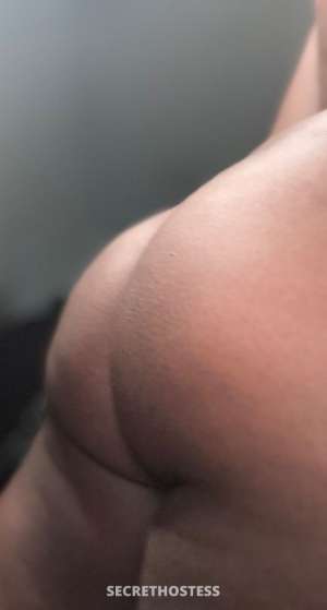 DaGawkster 26Yrs Old Escort Portsmouth VA Image - 3