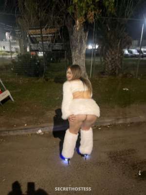 MELANY DIOR s Hidden Luxury Outcalls Cardates 23 year old Escort in North Bay CA