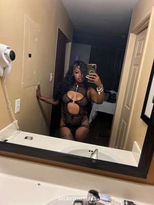 Miya 25Yrs Old Escort Columbus OH Image - 6