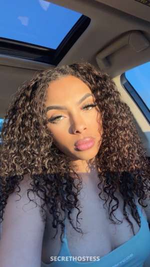 22 year old Brazilian Escort in Dallas TX Brazilianknockoutreadyforsomefun