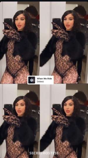 Nina 23Yrs Old Escort Albuquerque NM Image - 2