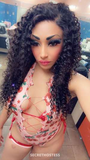 PARIS 35Yrs Old Escort McAllen TX Image - 4