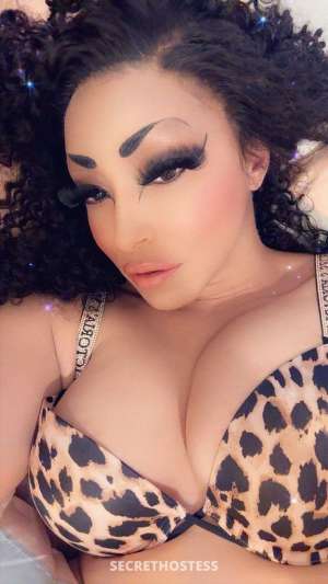 PARIS 35Yrs Old Escort McAllen TX Image - 7